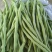 豆王无丝豆无筋豆架豆电商货超市货赶集货量大优