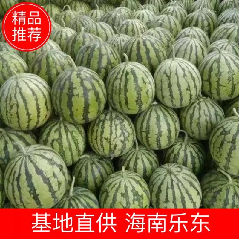 【实力供货】海南麒麟西瓜，应季水果麒麟西瓜，大量供应