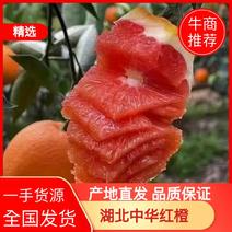 湖北宜昌秭归中华红橙产地直发货源充足品质保证价格美丽