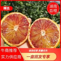 湖南血橙品质保证诚信经营欢迎接商超市场电商