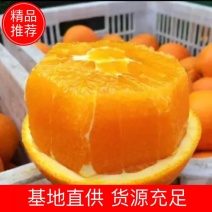 【精品】湖北秭归伦晚脐橙皮薄肉嫩纯甜化渣对接果农诚信合作