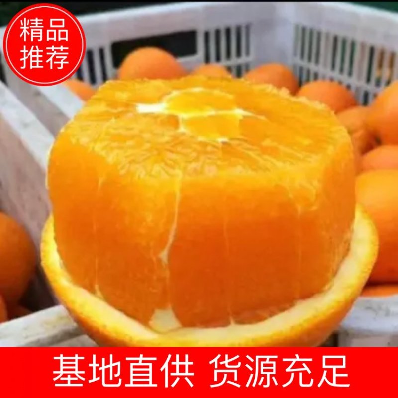 【精品】湖北秭归伦晚脐橙皮薄肉嫩纯甜化渣对接果农诚信合作