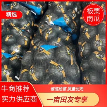 湖北省宜城市又粉又糯又甜的贝贝南瓜大量上市