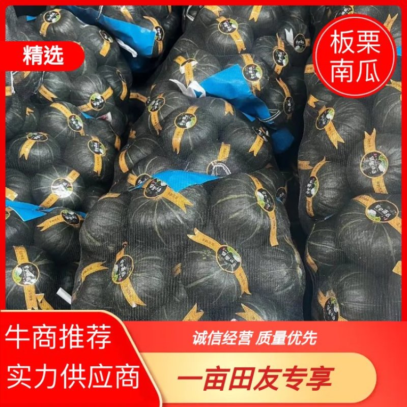湖北省宜城市又粉又糯又甜的贝贝南瓜大量上市