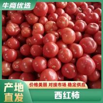 西红柿硬粉西红柿大量有货全国可发价格实惠保质保量欢迎