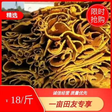 【精品】湖南黄柏双面黄个子双面黄丝黄柏带皮统丝