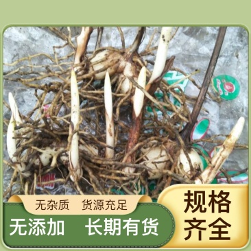 紫花三叉白芨干货稀有白芨无杂质货源充足价格美丽