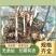 紫花三叉白芨干货稀有白芨无杂质货源充足价格美丽