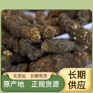 重楼供应稳定·规格多样·欢迎电话咨询·长期有货