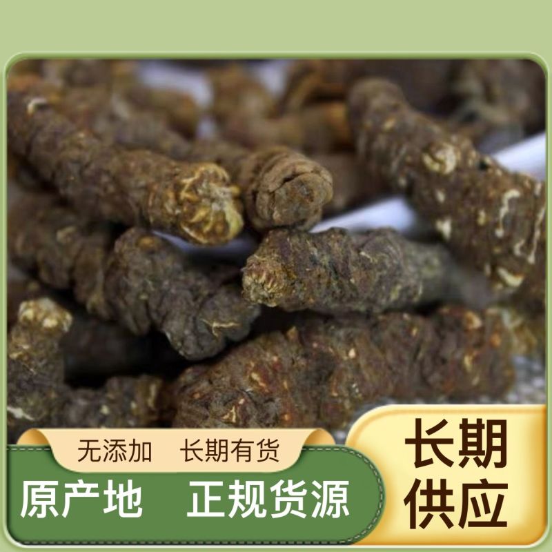 重楼供应稳定·规格多样·欢迎电话咨询·长期有货