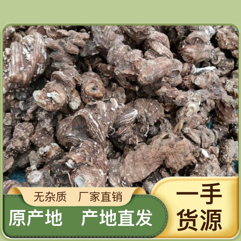 【重楼】全国供应营养丰富重楼欢迎电话咨询订购