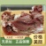 品质保证牛头肉全国供应产地直发新鲜直达量大质优