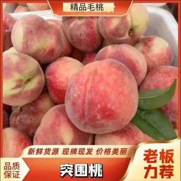 毛桃突围美翠霸王桃品种全市场货电商货日供万斤起
