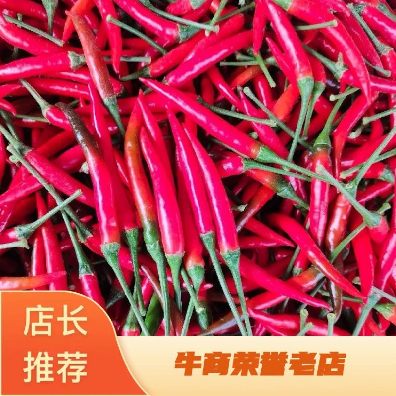 精品辣椒产地直发，代发全国，货源充足，保证质量