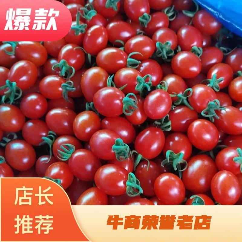 圣女果玲珑千禧货源充足品质保证代发全国批发市场商超