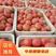 西红柿江苏暖棚大红硬粉西红柿大量上市产地直供质优价