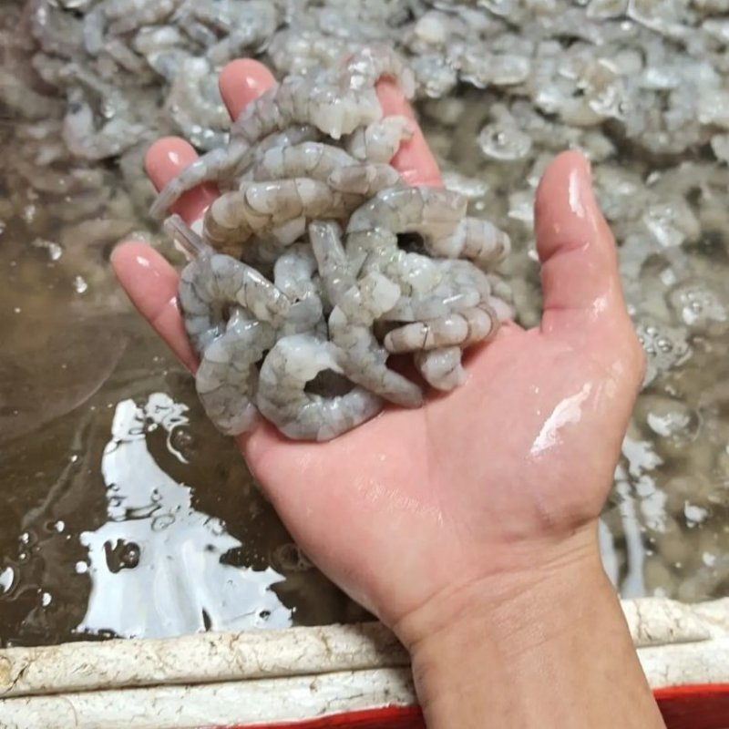 广西原浆虾仁量大质优价格优惠欢迎电话洽谈
