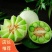 优质小甜瓜大量上市质量好，价格低，货源充足，质量保证代发