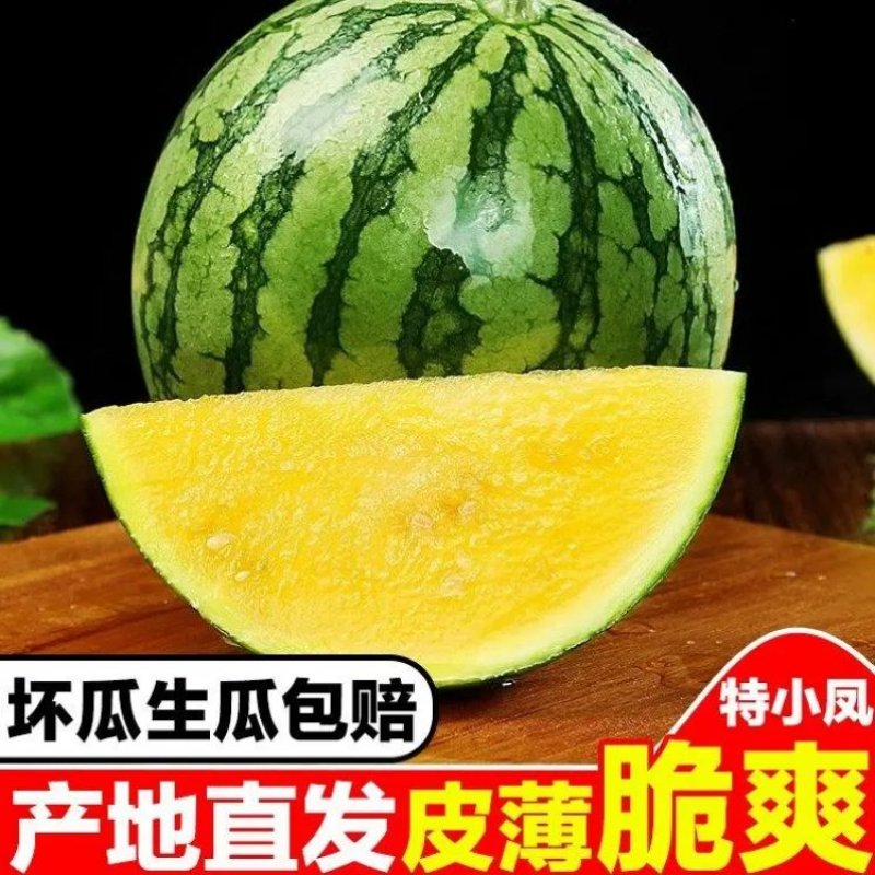 江苏东台特小凤西瓜个头均匀甜度高/产地直发/保质保量