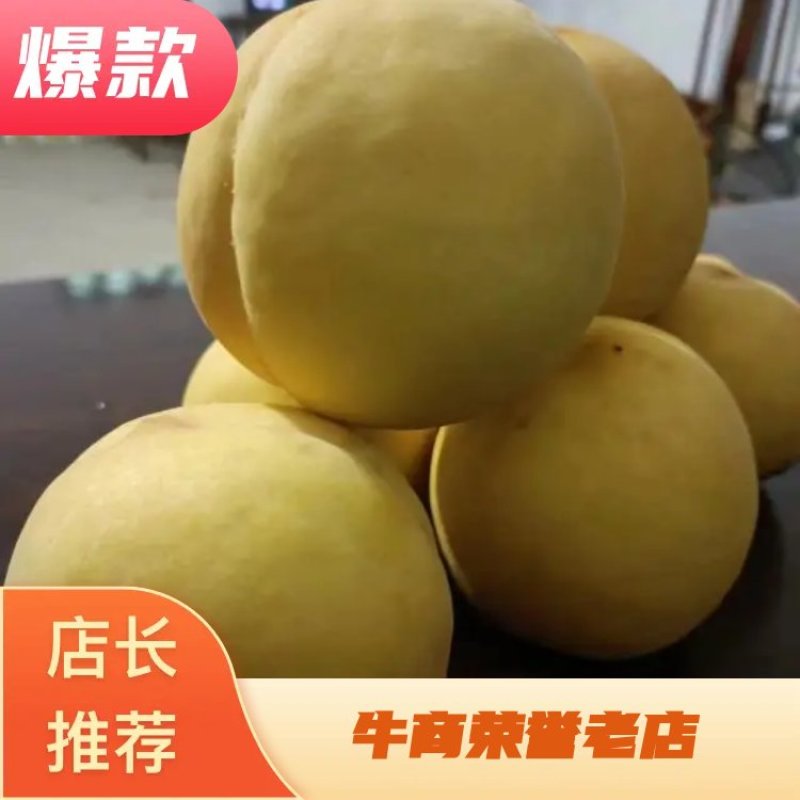 黄桃，中秋金蜜，大量上市，口感脆甜，颜色金黄。
