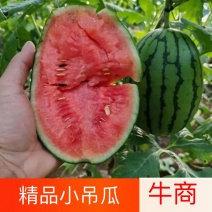 小吊瓜全美2K西瓜辽宁西瓜精品薄皮瓜电商市场货