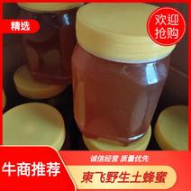 東飞野生蜂蜜土蜂蜜产地直发品质保证欢迎来电