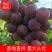 巨峰葡萄汁水直甜口感好一手货源量大从优欢迎采购