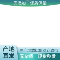 正宗葛根长期供应新鲜采摘量大从优优质保证