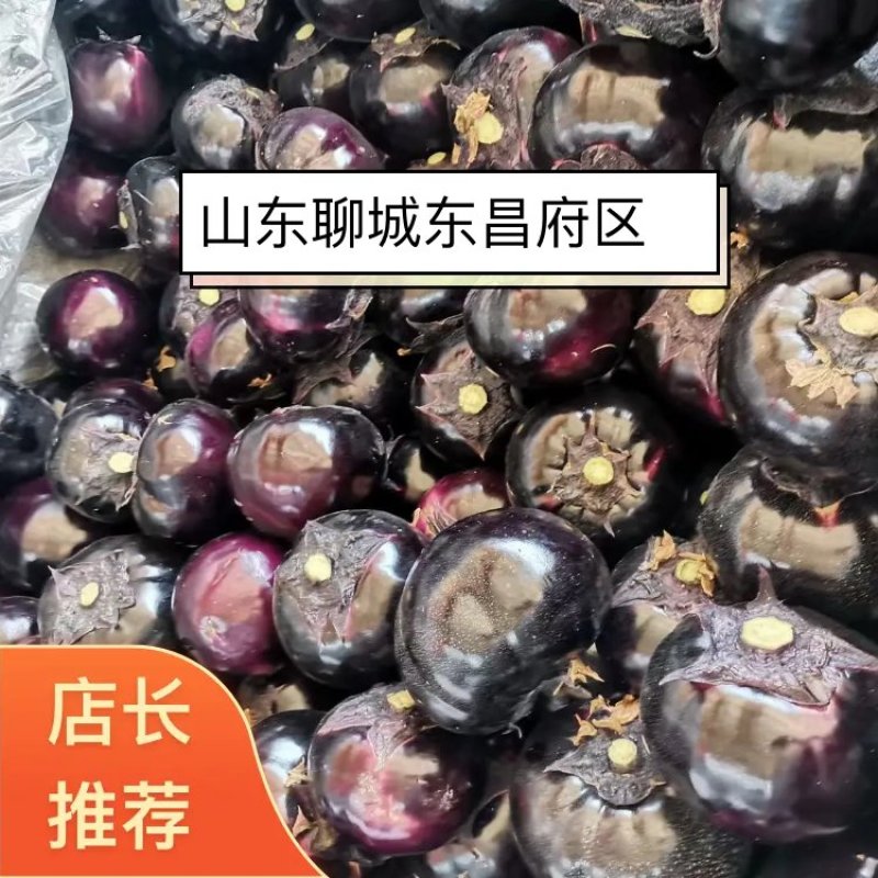 茄子圆茄山东圆茄基地货源充足代发全国，可提供一条龙