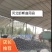 园茄，大量上市，颜色黑有亮，质量非常好，5两起步，