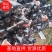 园茄，大量上市，颜色黑有亮，质量非常好，5两起步，