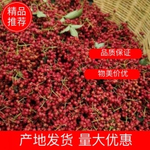 花椒/大红袍花椒/陕西花椒/花椒大红袍/陕西大红袍花椒