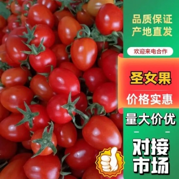 露地圣女果大量上市，质优价廉品种齐全，（黄粉红）货源充足