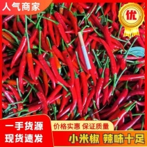 广西小米椒朝天椒质量保证货源充足支持代发欢迎咨询