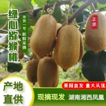 湘西富硒猕猴桃，产地一手货源【对接贸易出口批发电商社区】