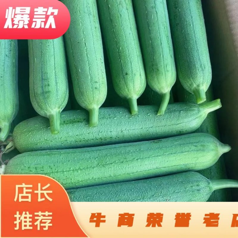 香丝瓜油皮丝瓜