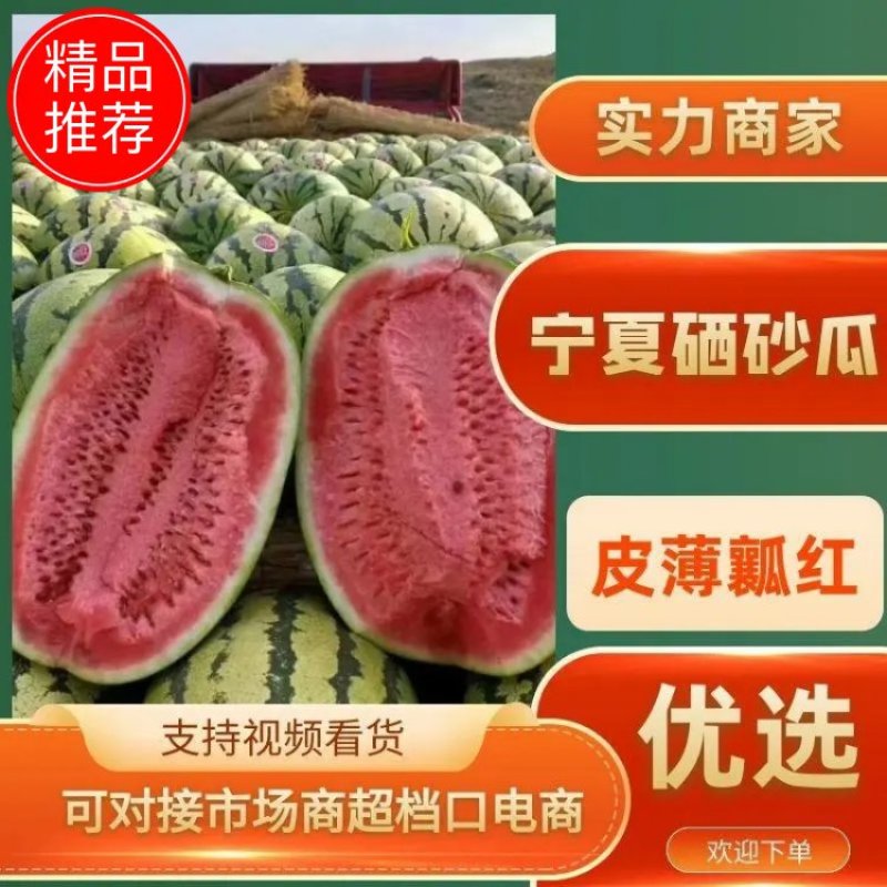 【代发全国】宁夏硒砂瓜精选山脚下万亩优质硒砂瓜专业团队
