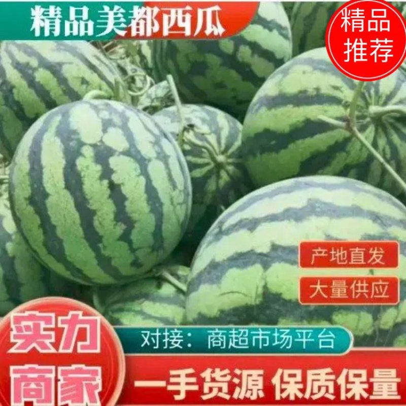 【实力】精品美都西瓜大量供应甜度高水分足大量供