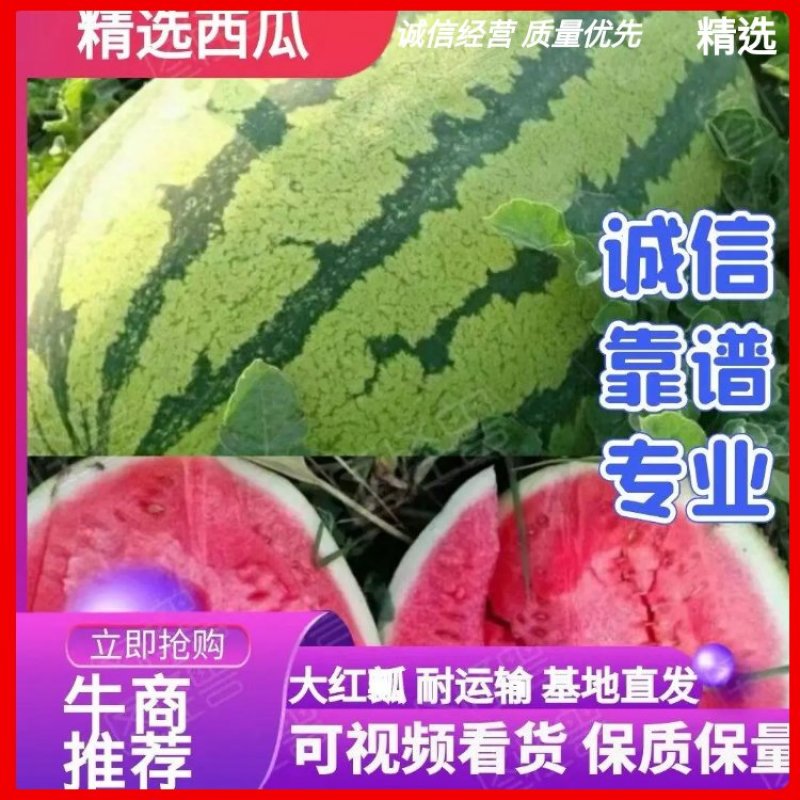 【当季水果】宁夏硒砂瓜产地直供保质保量常年代发全国