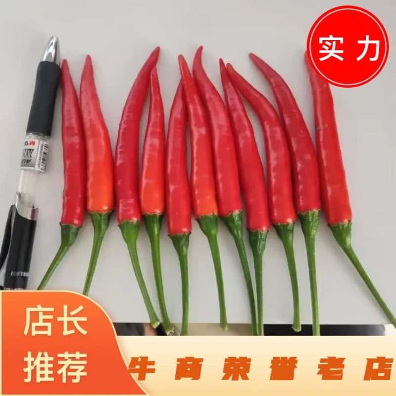 🔥小米辣商丘小米椒大量上市全国发货品质保证