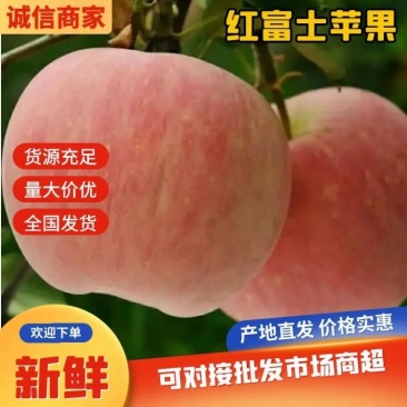 1山西省运城市临猗县冰糖心红富士苹果，量大质优