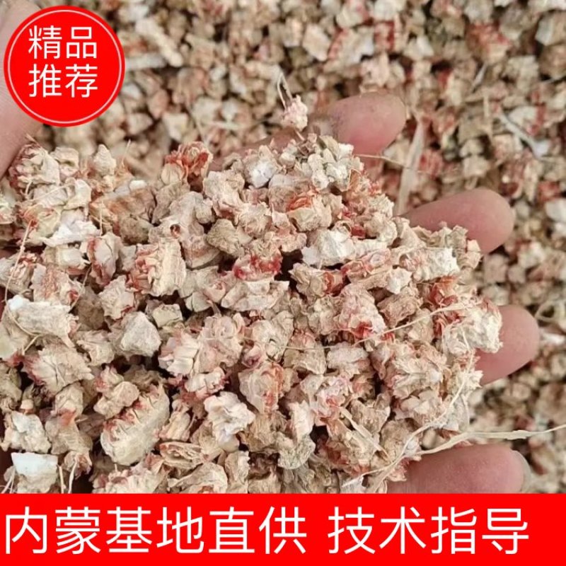 优质玉米芯颗粒压块饲料大量供应可视频看货，欢迎老板采购