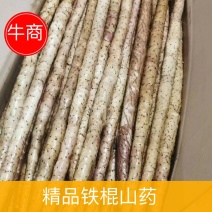 双棒山药，山药界中黑马，主要优点是口感细腻面甜，条形直