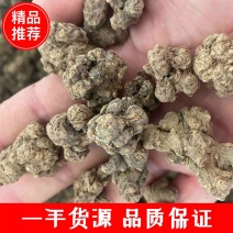 精品野生夏天无，一手货源，价格便宜，诚信经营，欢迎来电