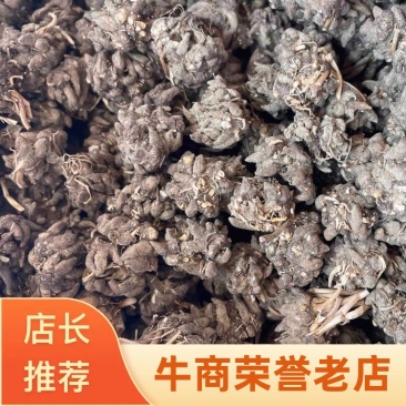 精品水洗猫爪草品质保证量大从优需要提前预定