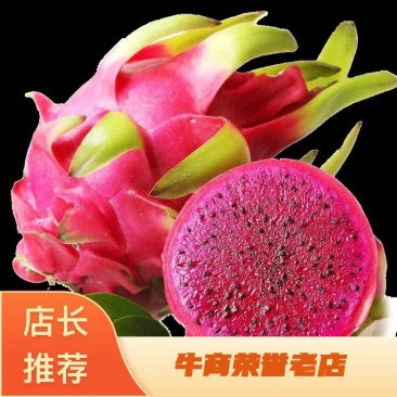 基地出售红心火龙果苗红皮红肉火龙果苗