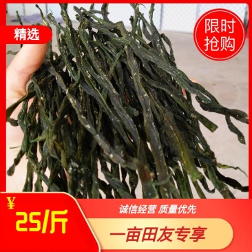 云南精品干豆角，精选嫩豆角，口感不柴无丝，铁锅炖配菜专用