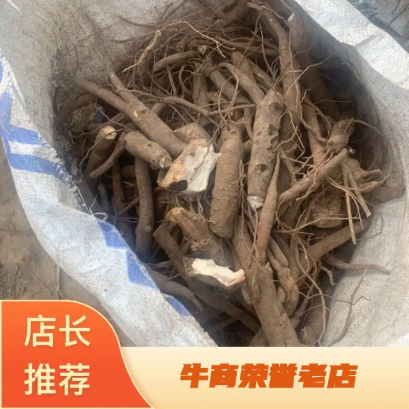 鲜白芍，山东菏泽本地货。