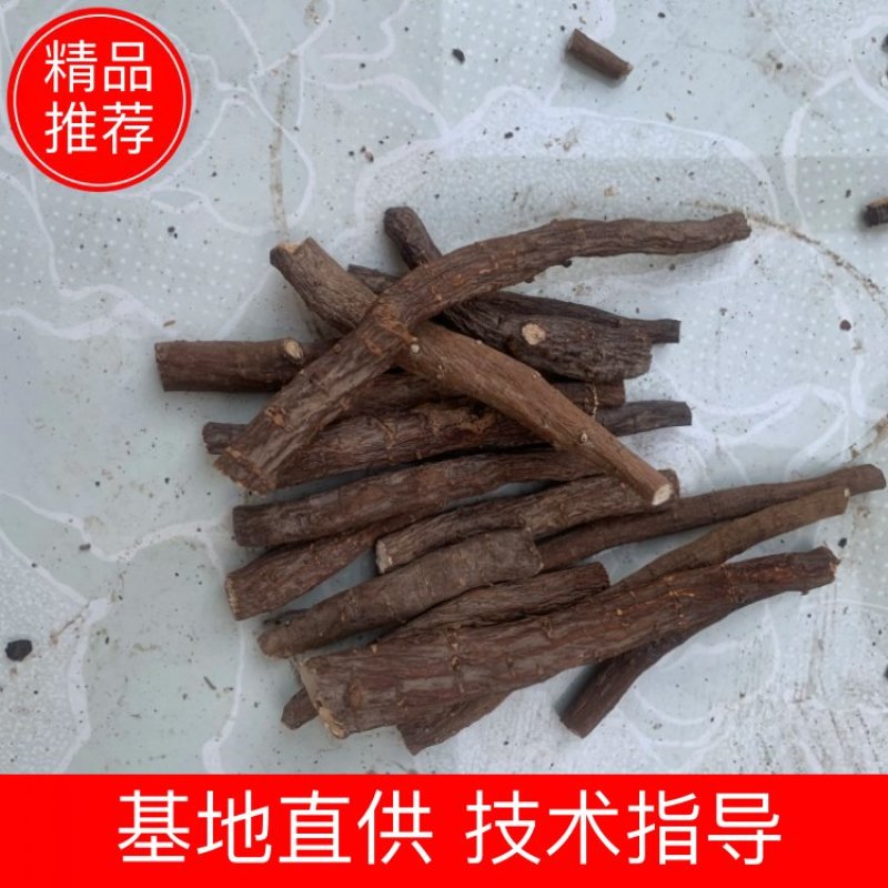 【品质】赤芍山东赤芍品相好价优欢迎咨询