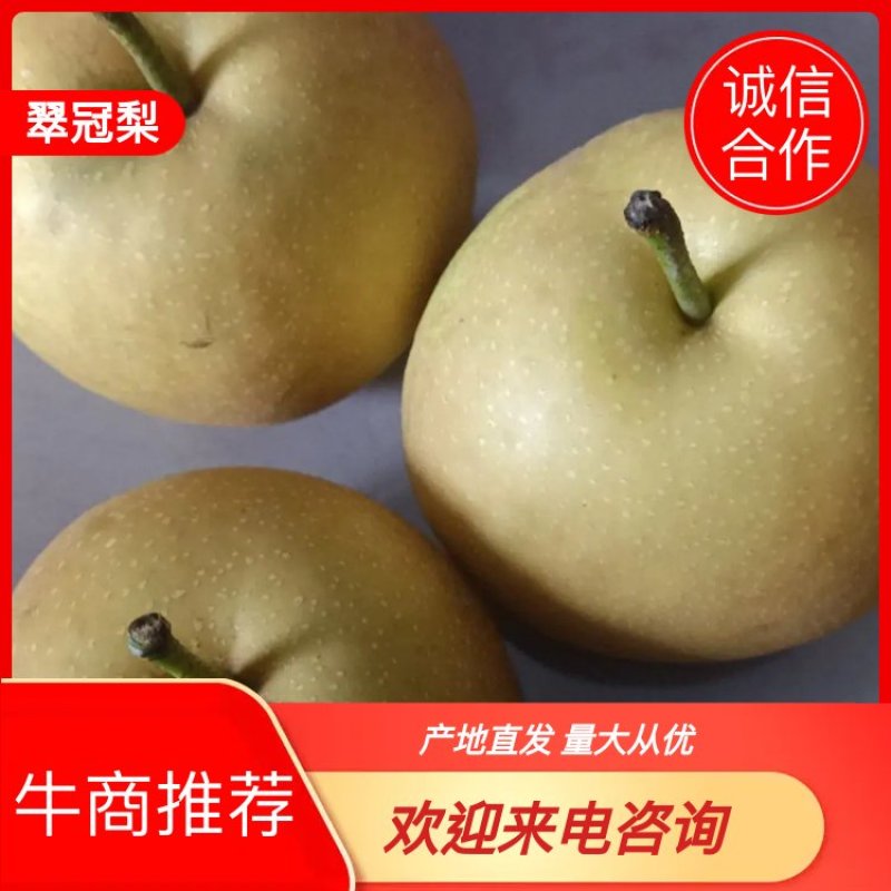 湖南翠冠梨产地直发诚信合作量大从优欢迎来电咨询